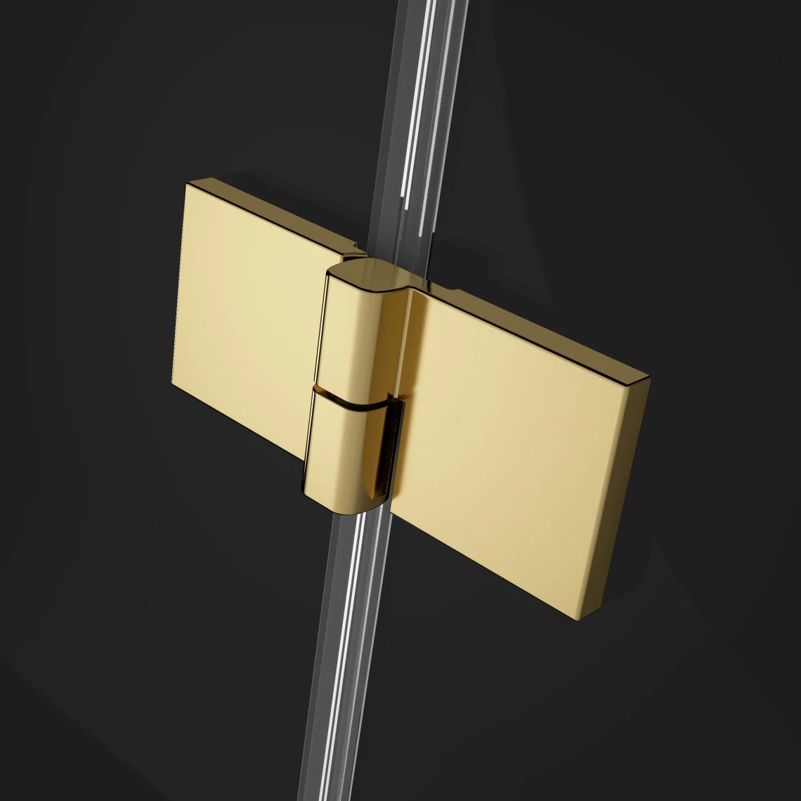 Душевая кабина Radaway Essenza Pro Gold PDD 90x90 h=200 — 3