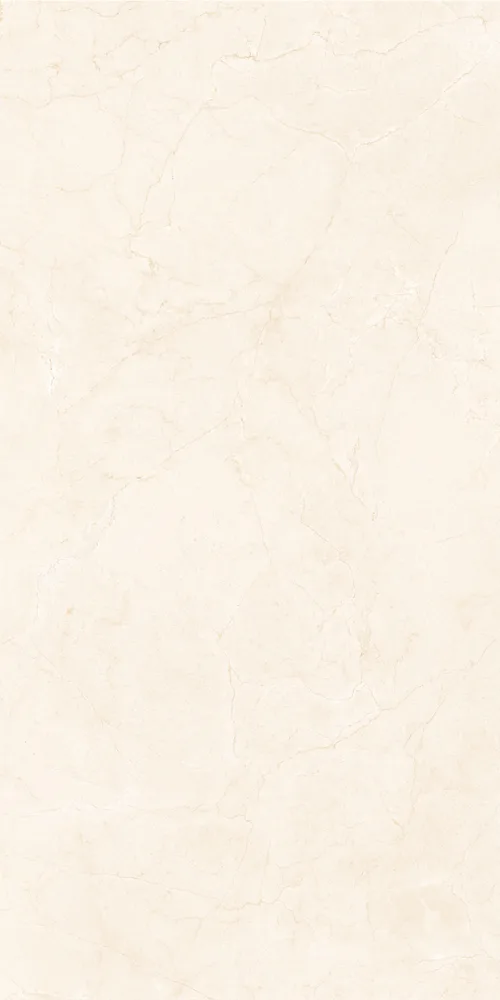 Плитка GV.NATIVE SAND POL 60x120
