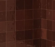 Плитка RIBESALBES EARTH WINE GLOSS PB 15X15 — 2