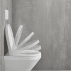 Крышки для унитаза от производителя Villeroy and Boch в магазине CapCap в Кишиневе