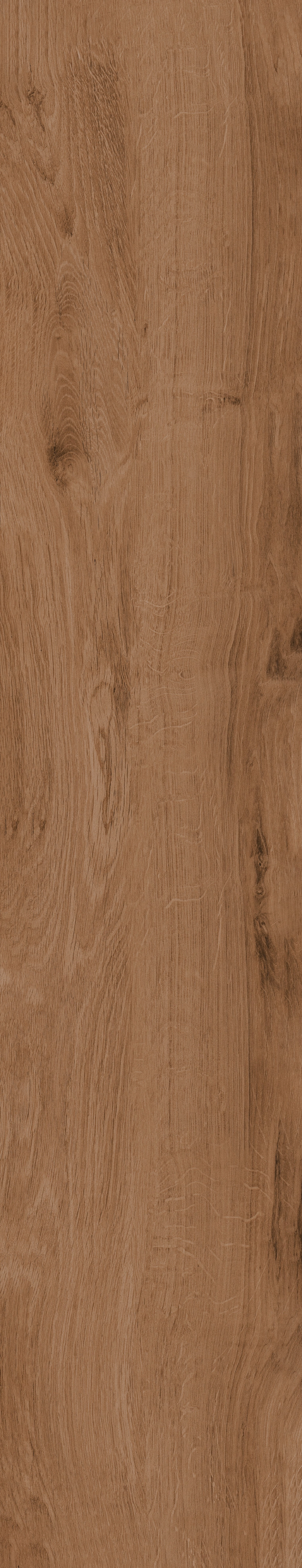 ESSENZA ROBLE MAT Rect. 22,5x119,5