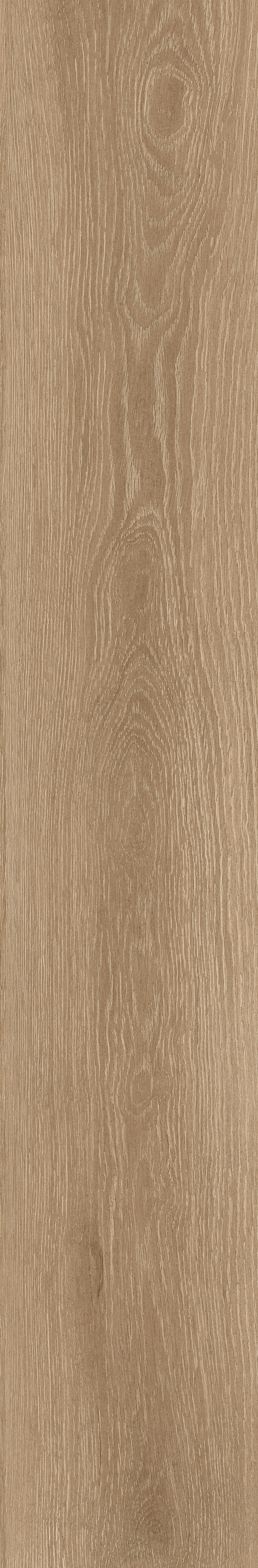 MUSE ROBLE MAT Rect. 22,5x119,5 — 2
