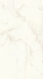 Marvel Calacatta Delicato 75x150 LP