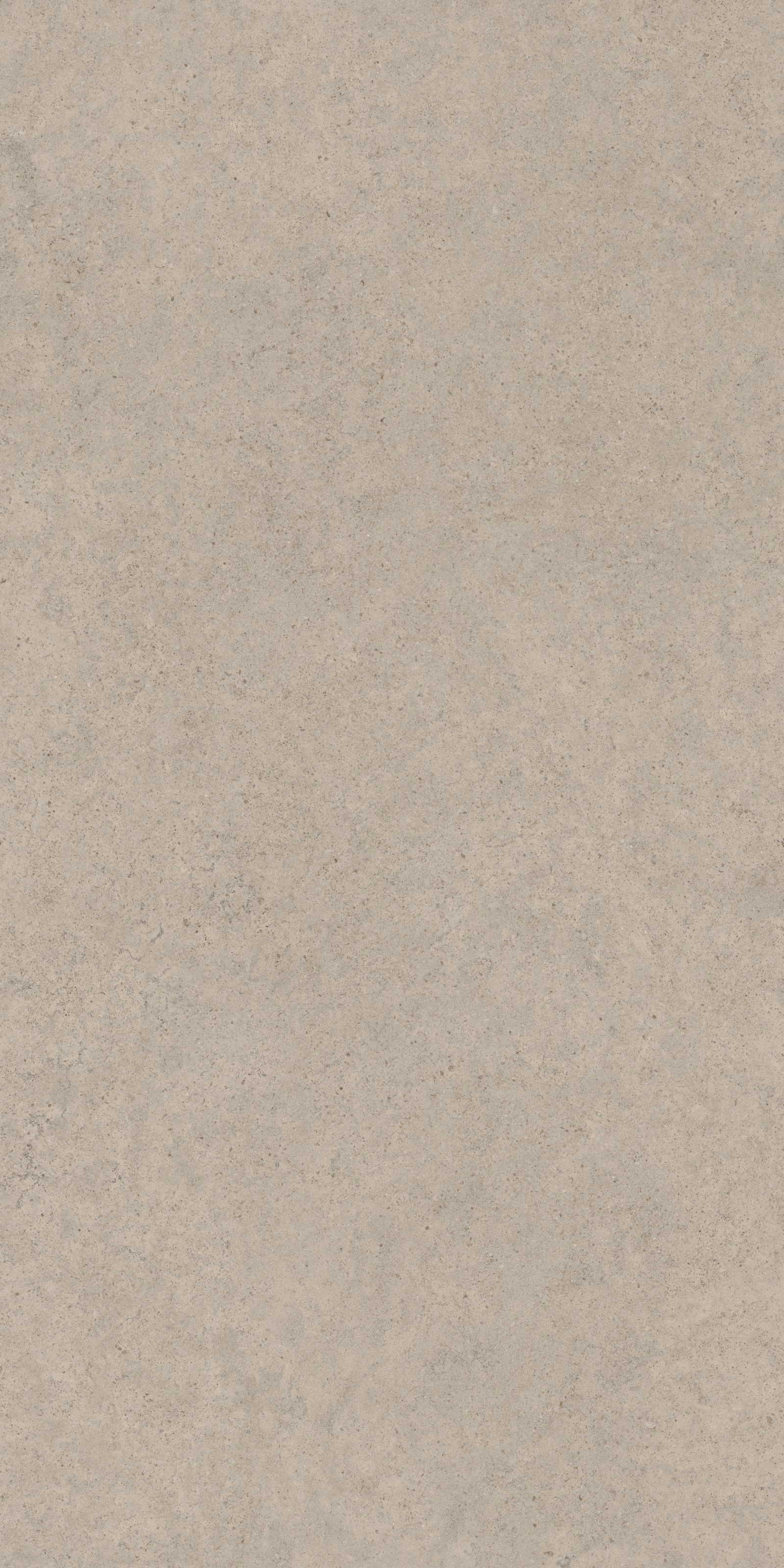CALCARIO  LG Mat 12mm 162x323 — 2