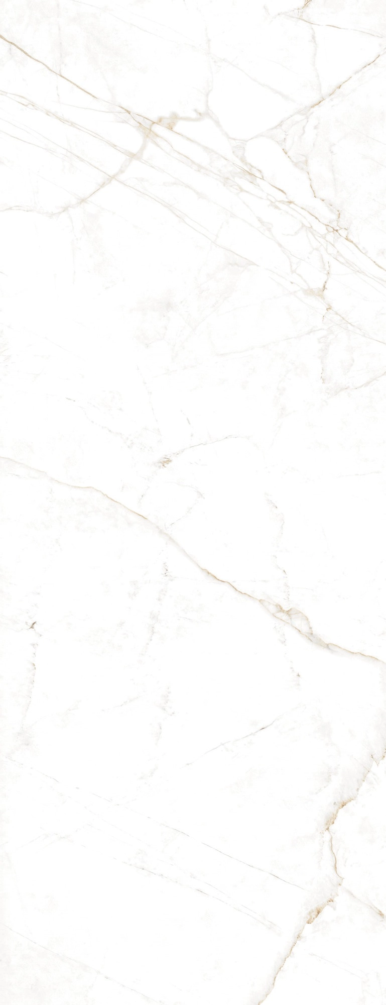 DUAL WHITE POL 100x275