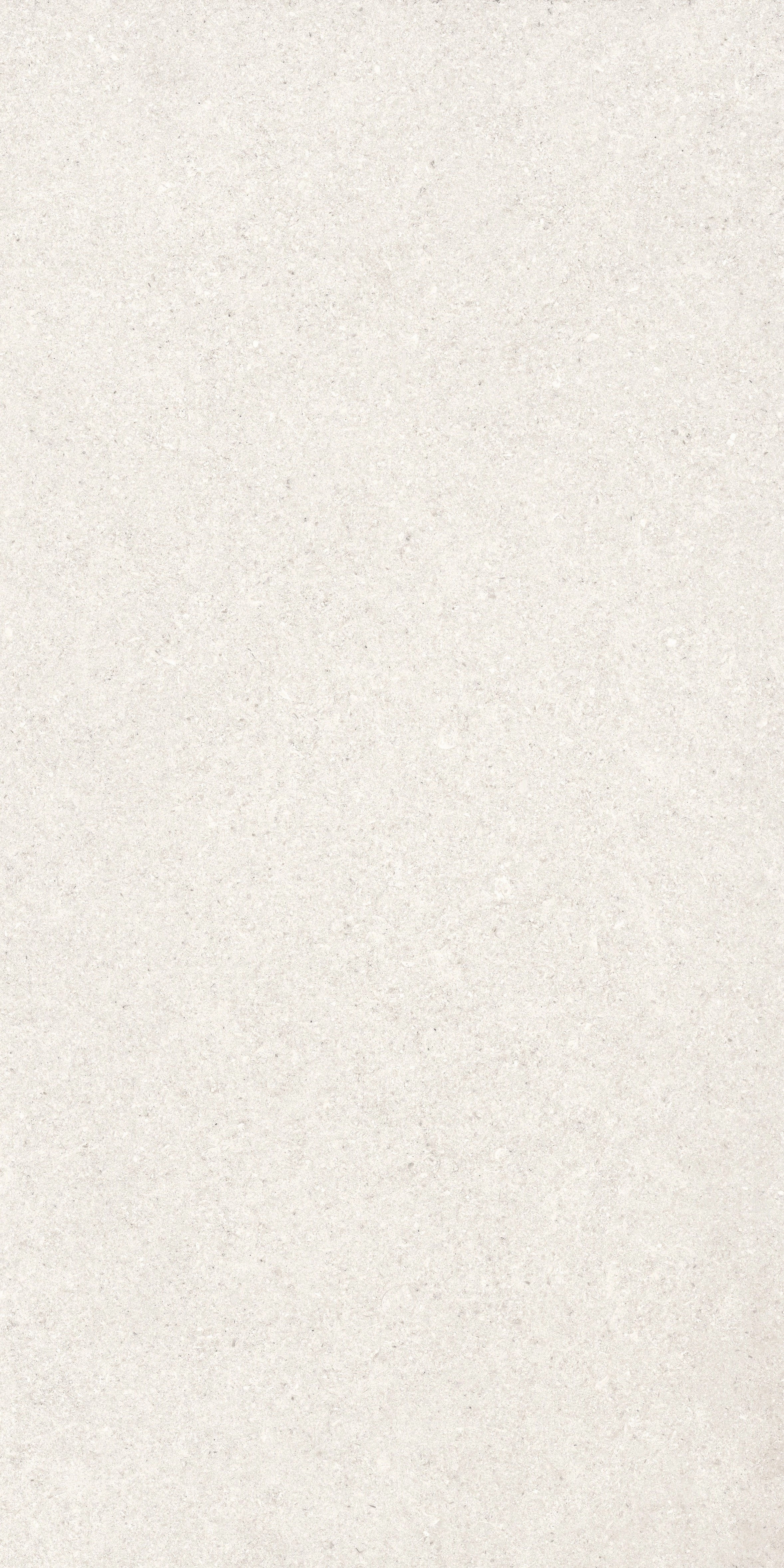 EVEREST BLANCO AGE 60x120