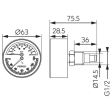 Термоманометр аксиальный 63mm* 1/2" (0-120C/0-6bar) Ferro TM63A