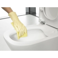 Vas WC monobloc Roca The Gap BTW Rimless A347737000