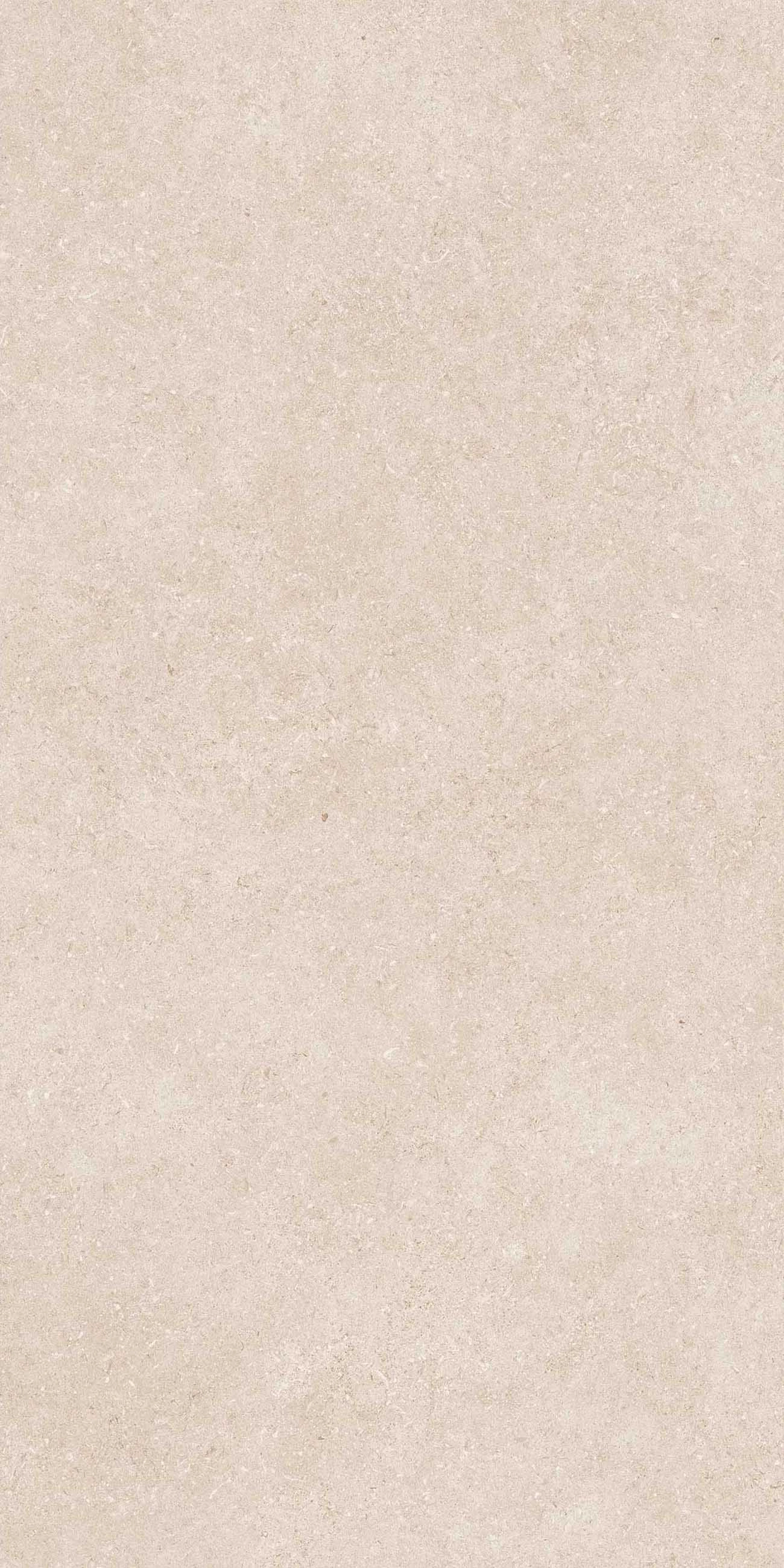 LOMMA BONE MATE 60X120 RECT. — 10
