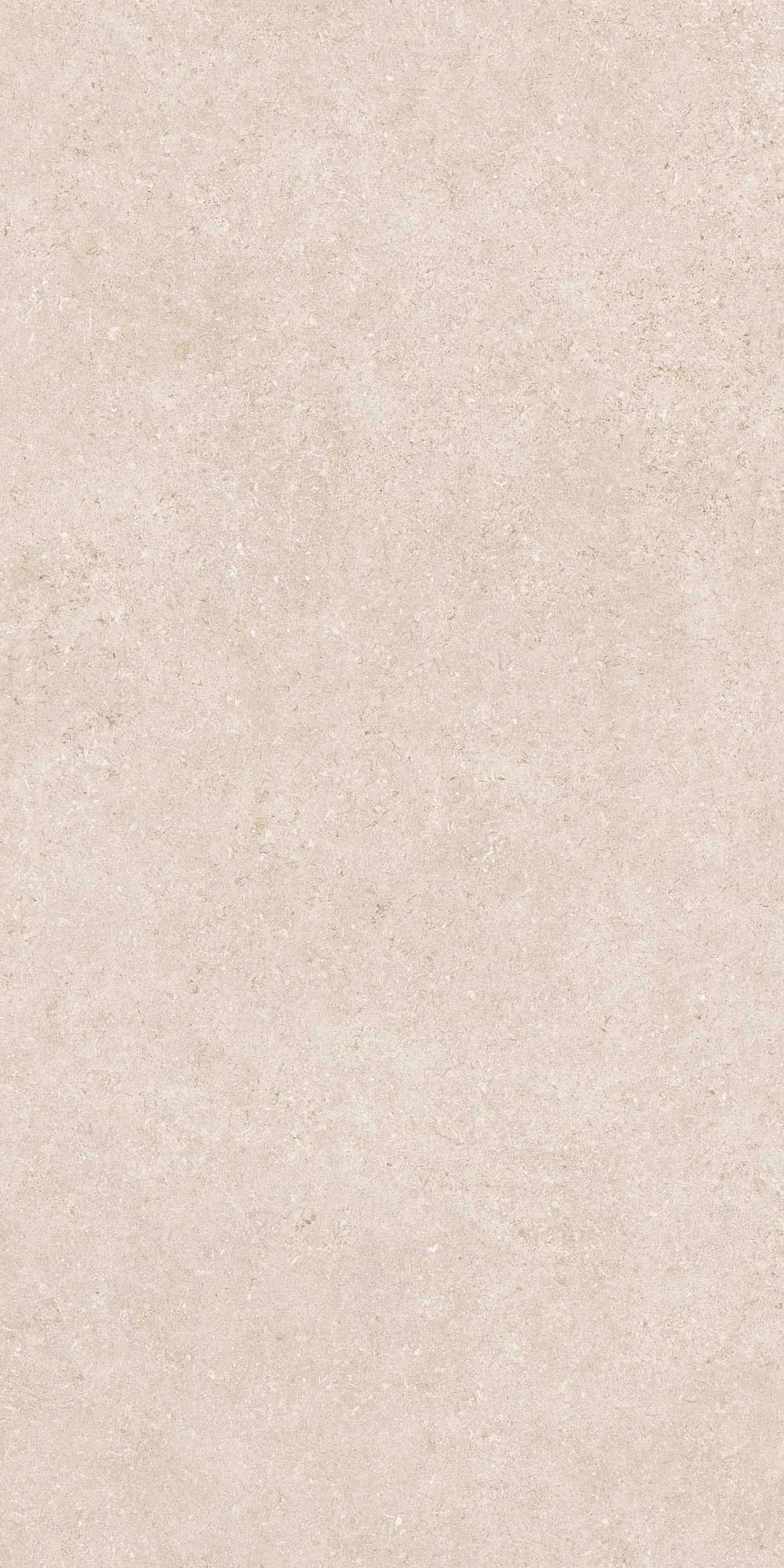 LOMMA BONE MATE 60X120 RECT. — 5