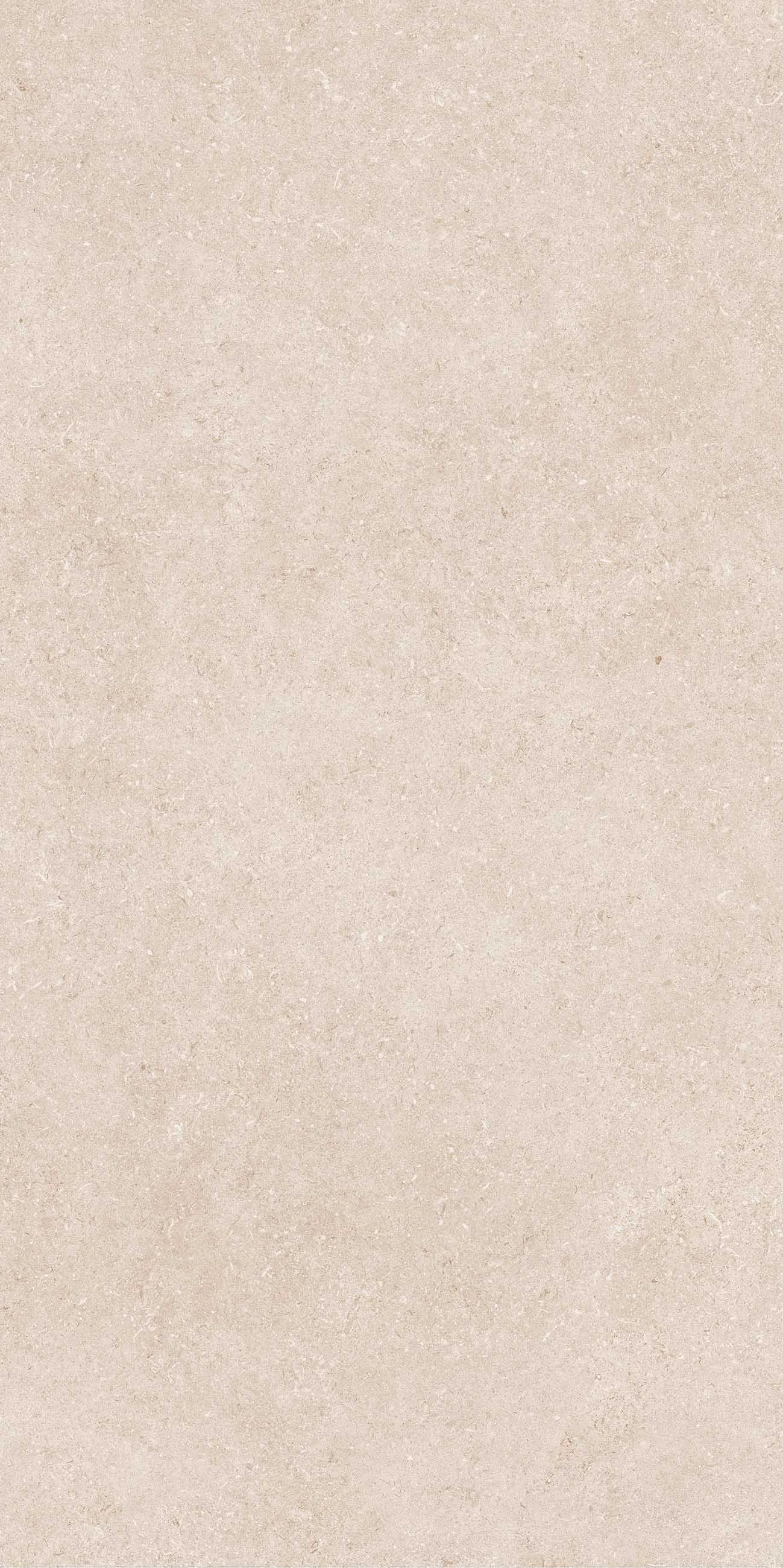 LOMMA BONE MATE 60X120 RECT. — 6