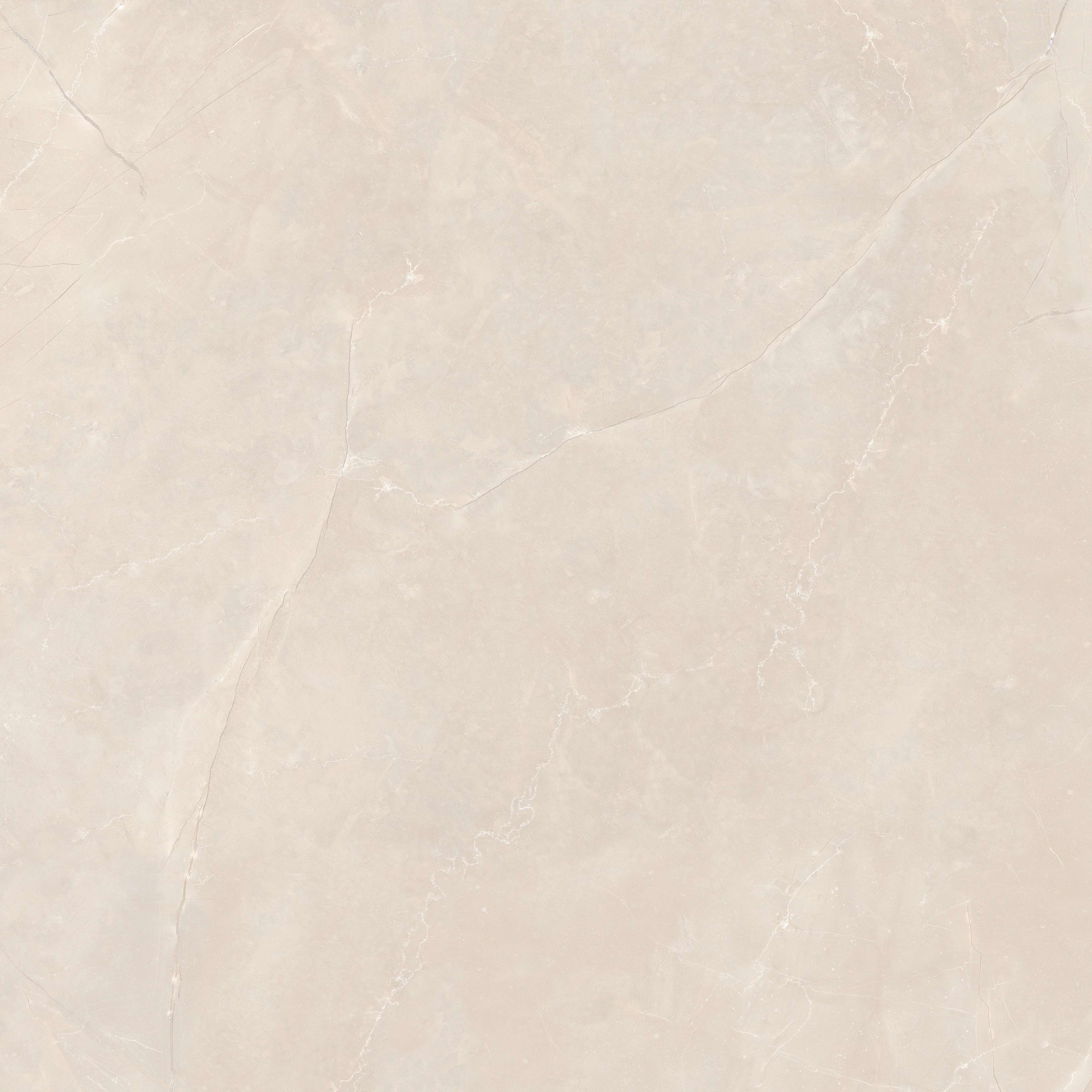 DALKEY BEIGE SATINADO 100X100 RECT. — 6