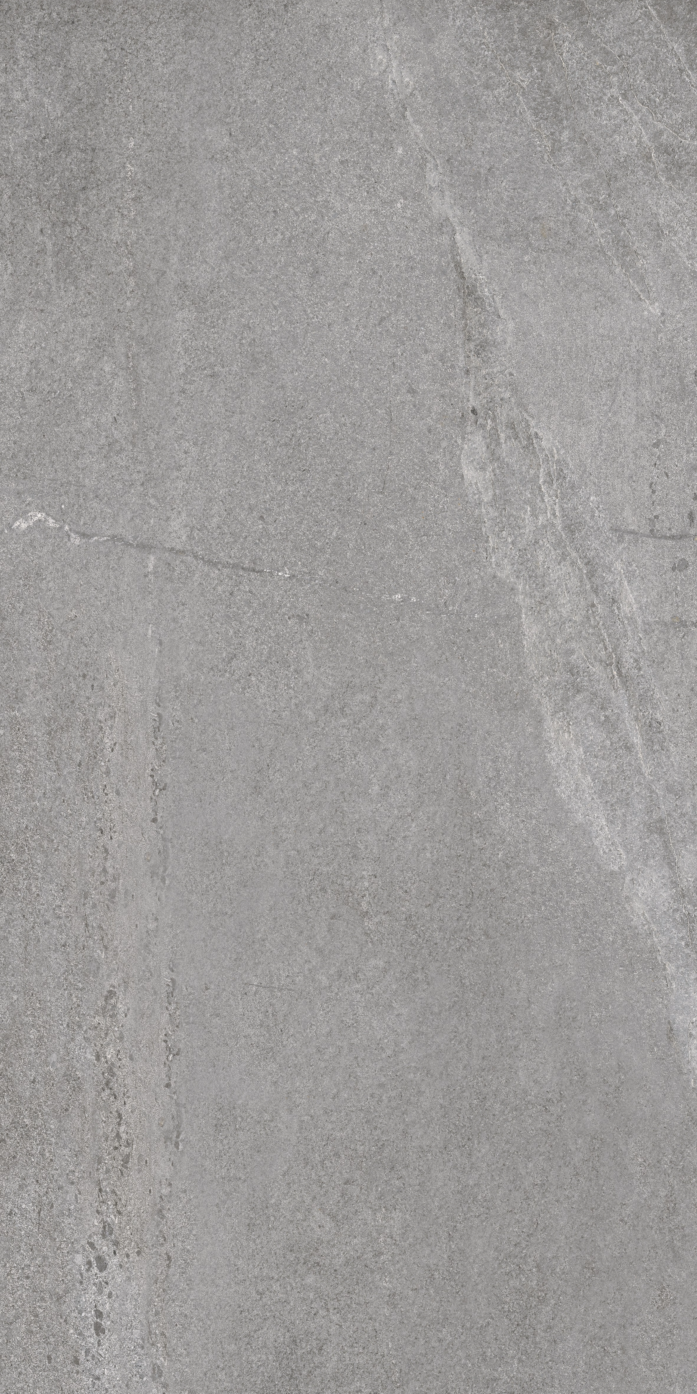 JOHNSTONE GREY MATE 60X120 RECT. — 5