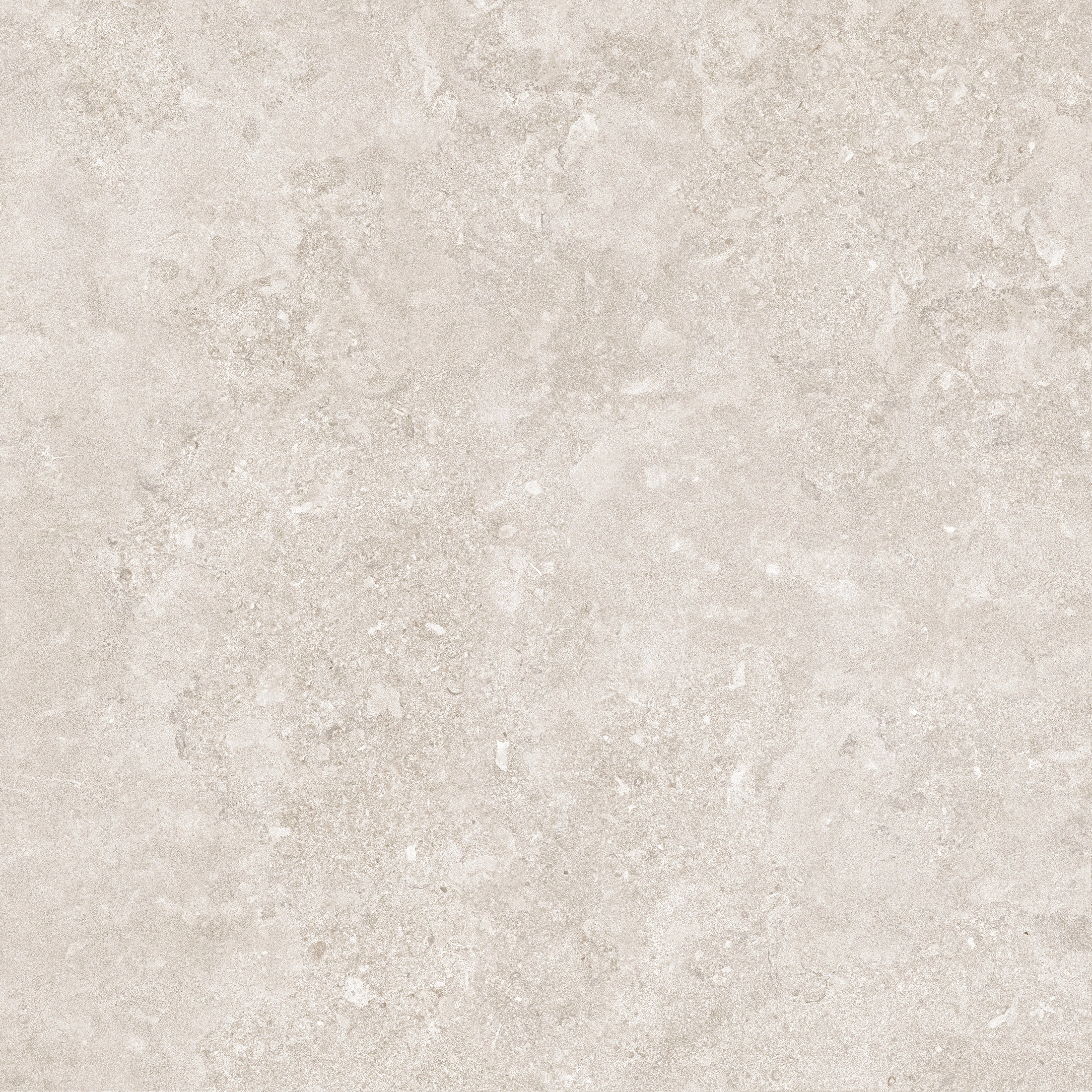 PORTLAND STRUCTECH  BONE MATE 100X100 RECT. — 7