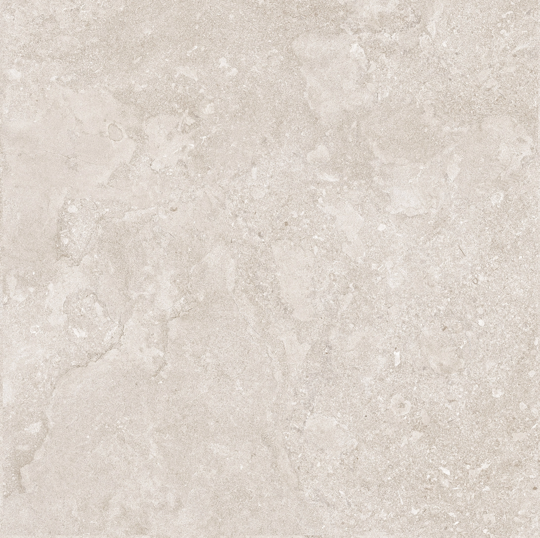 PORTLAND STRUCTECH  BONE MATE 100X100 RECT. — 4