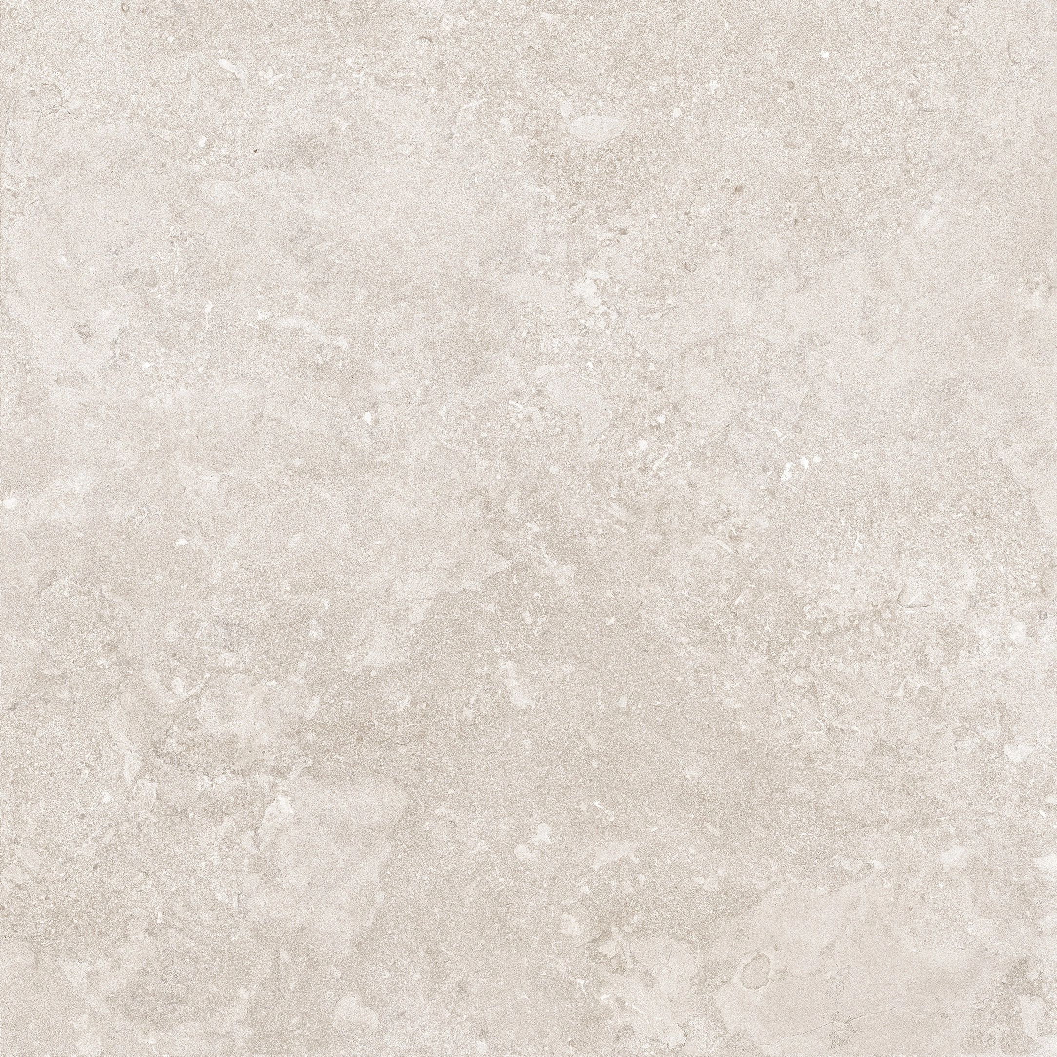 PORTLAND STRUCTECH  BONE MATE 100X100 RECT. — 2