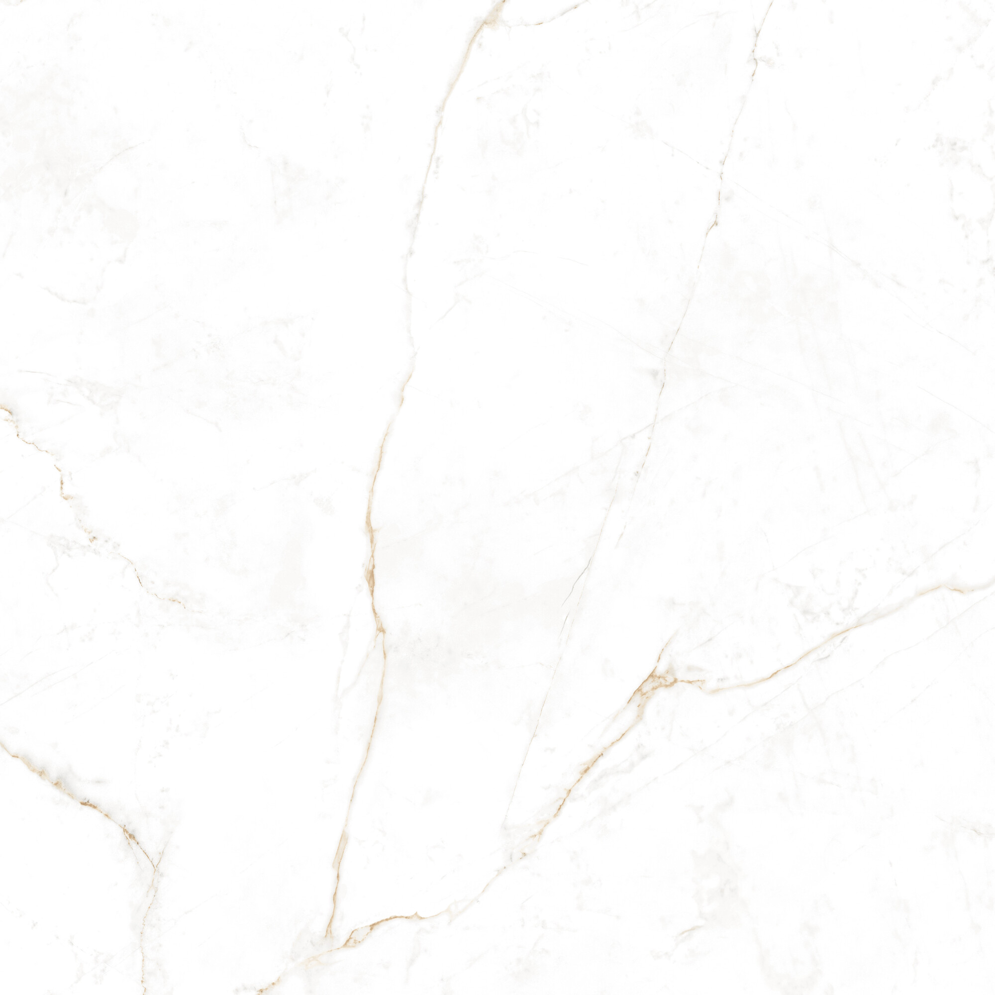 DUAL WHITE SP.Rect. 120x120 — 3