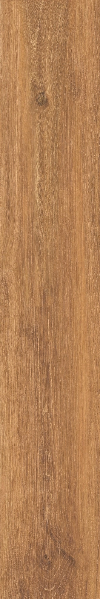 Плитка VERBIER HONEY  AS.Rect. 19,5x121 — вид 6