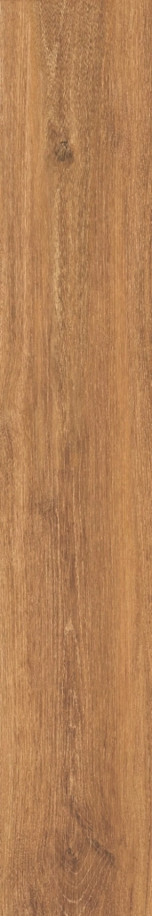 VERBIER HONEY  AS.Rect. 19,5x121