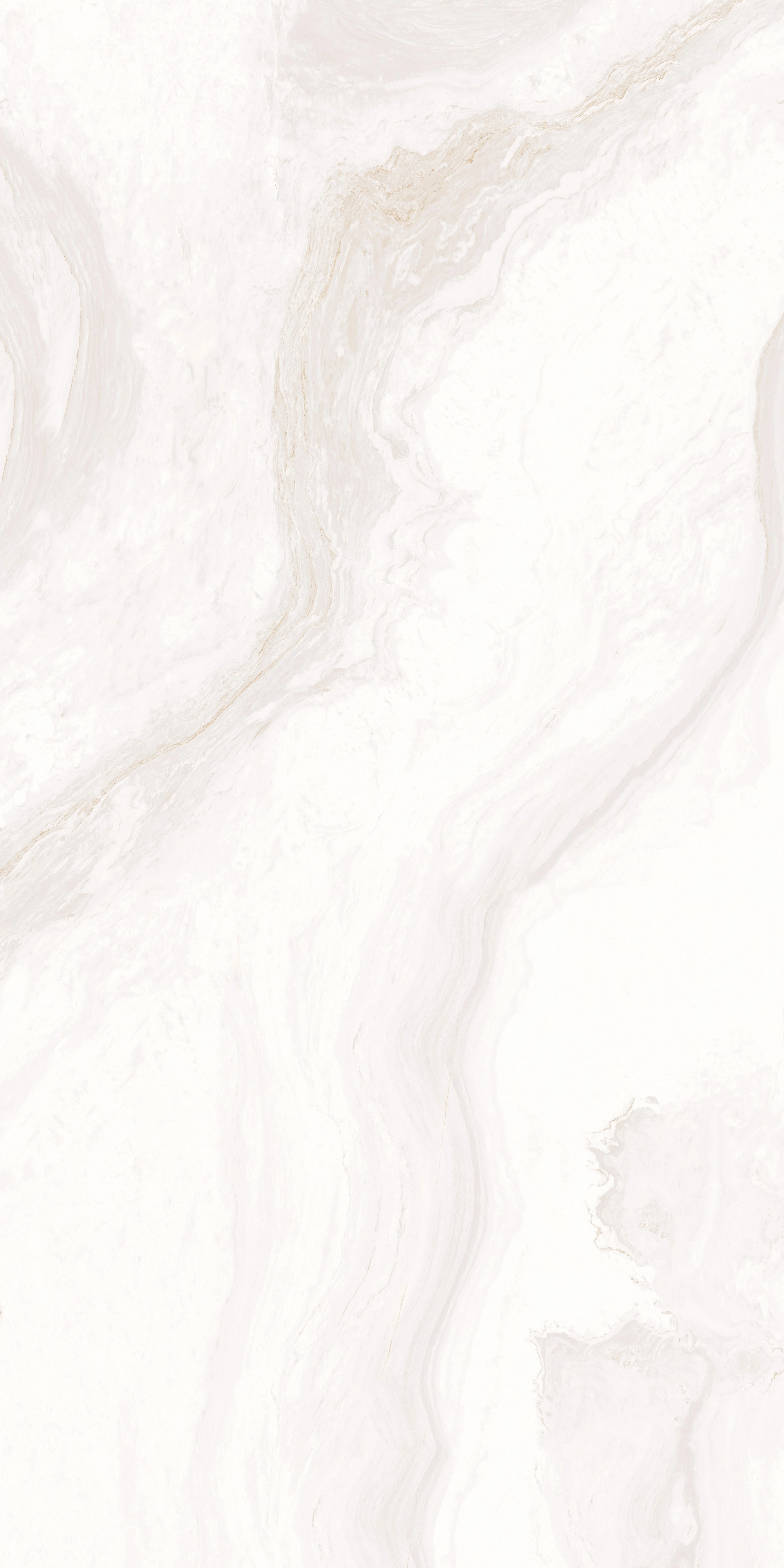 CALACATTA GOLD MAT 160x320 — 3