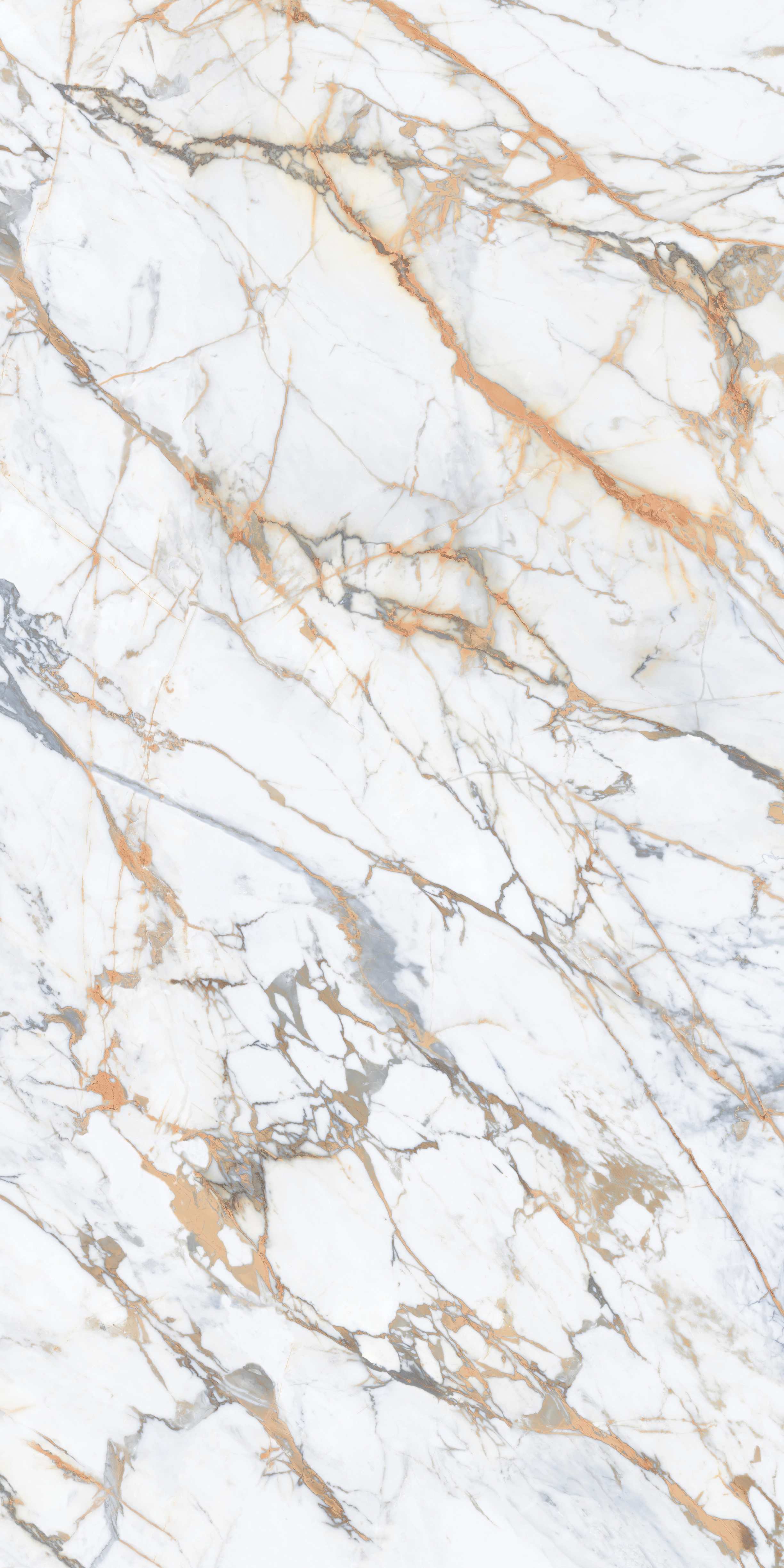 CALACATTA MACCHIA POL 160x320