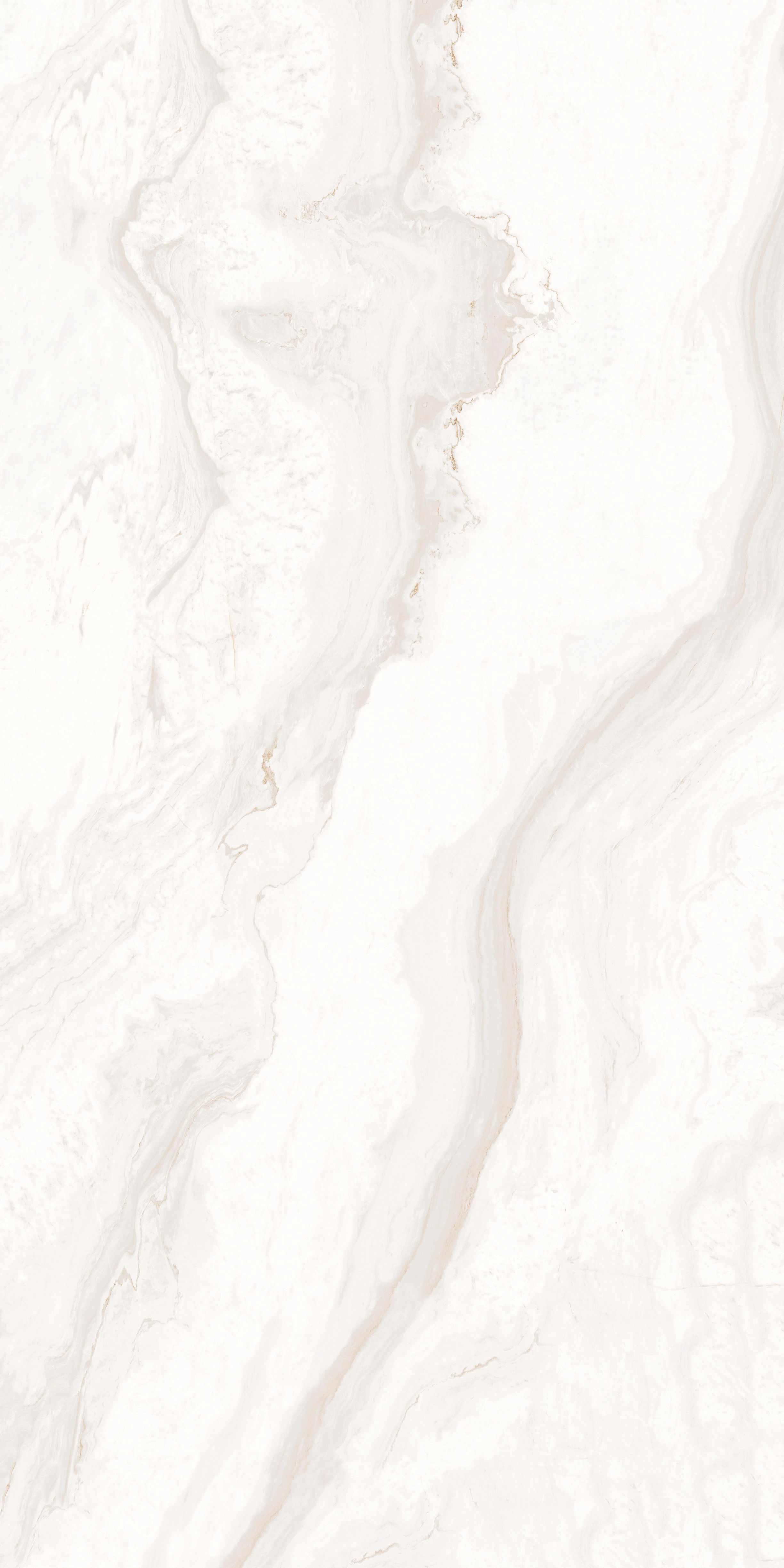 CALACATTA GOLD MAT 160x320 — 2