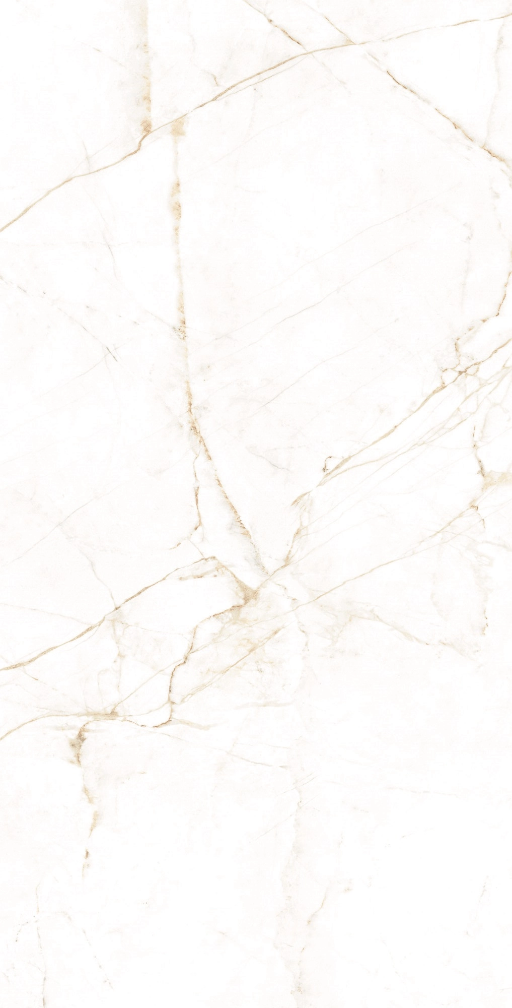 DUAL WHITE SP.Rect. 75,5x151x9 — 4
