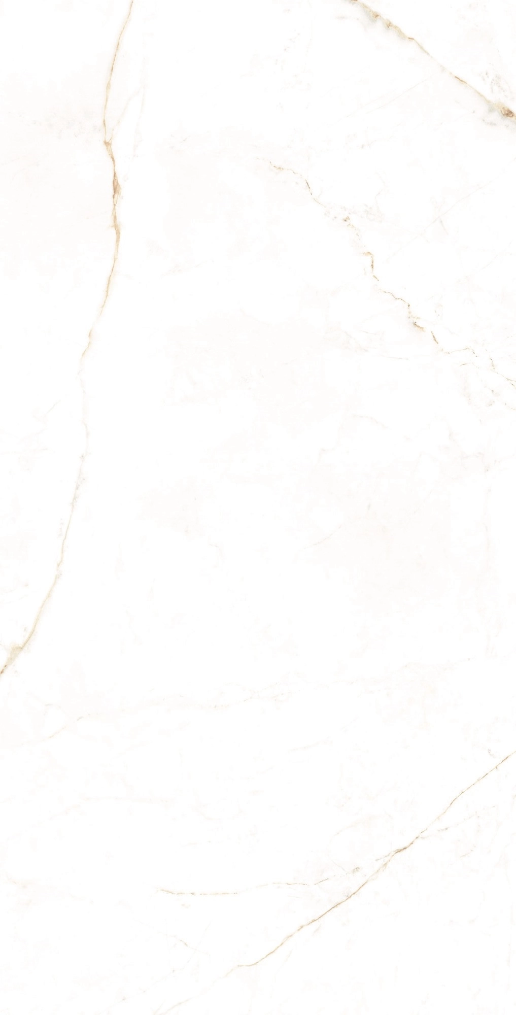 DUAL WHITE SP.Rect. 75,5x151x9 — 2