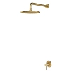 Set de duș îngropat Omnires Y Auriu Periat SYSY36GLB
