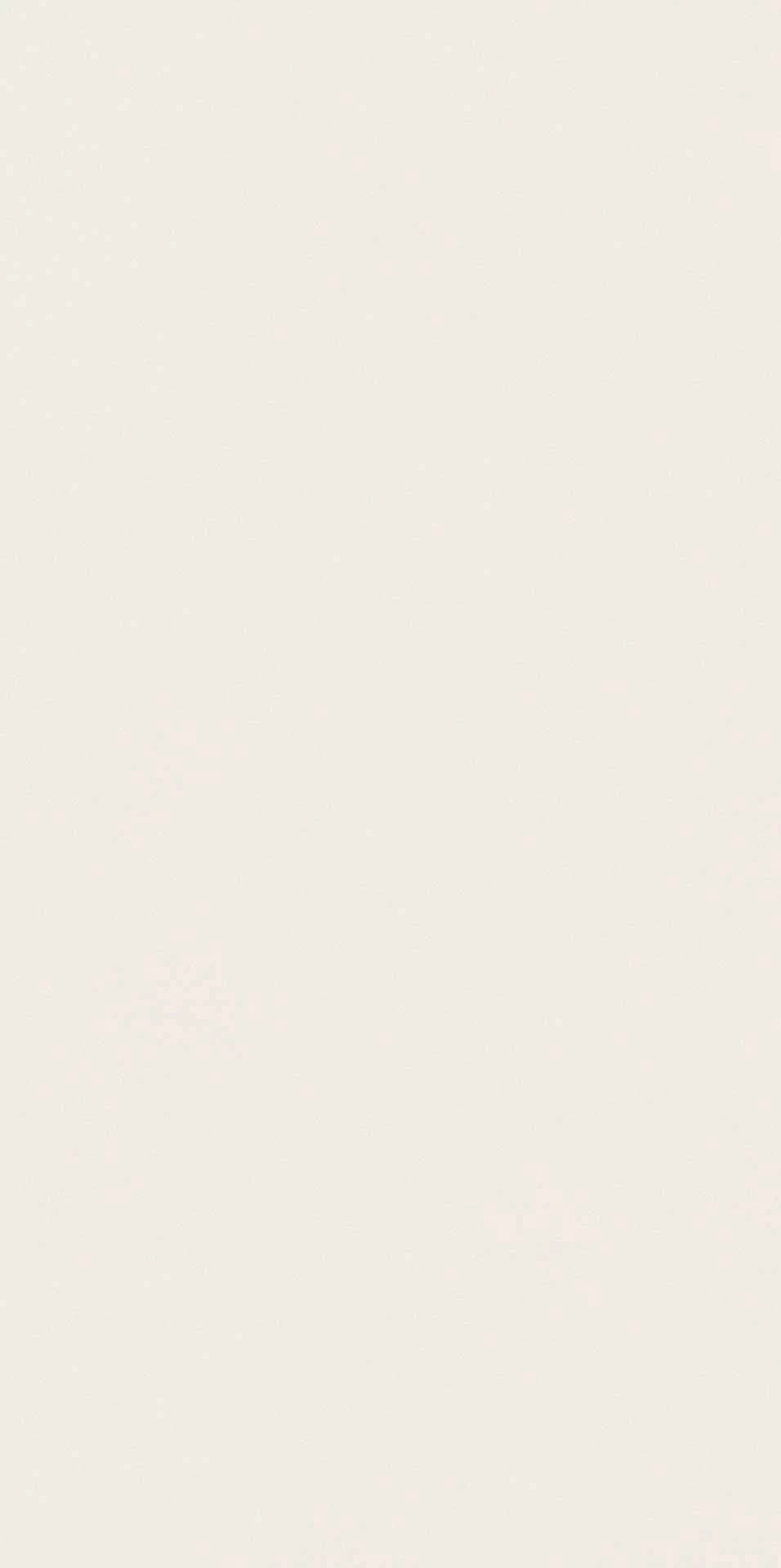 Absolute White Pol 6mm 120x278 — 2