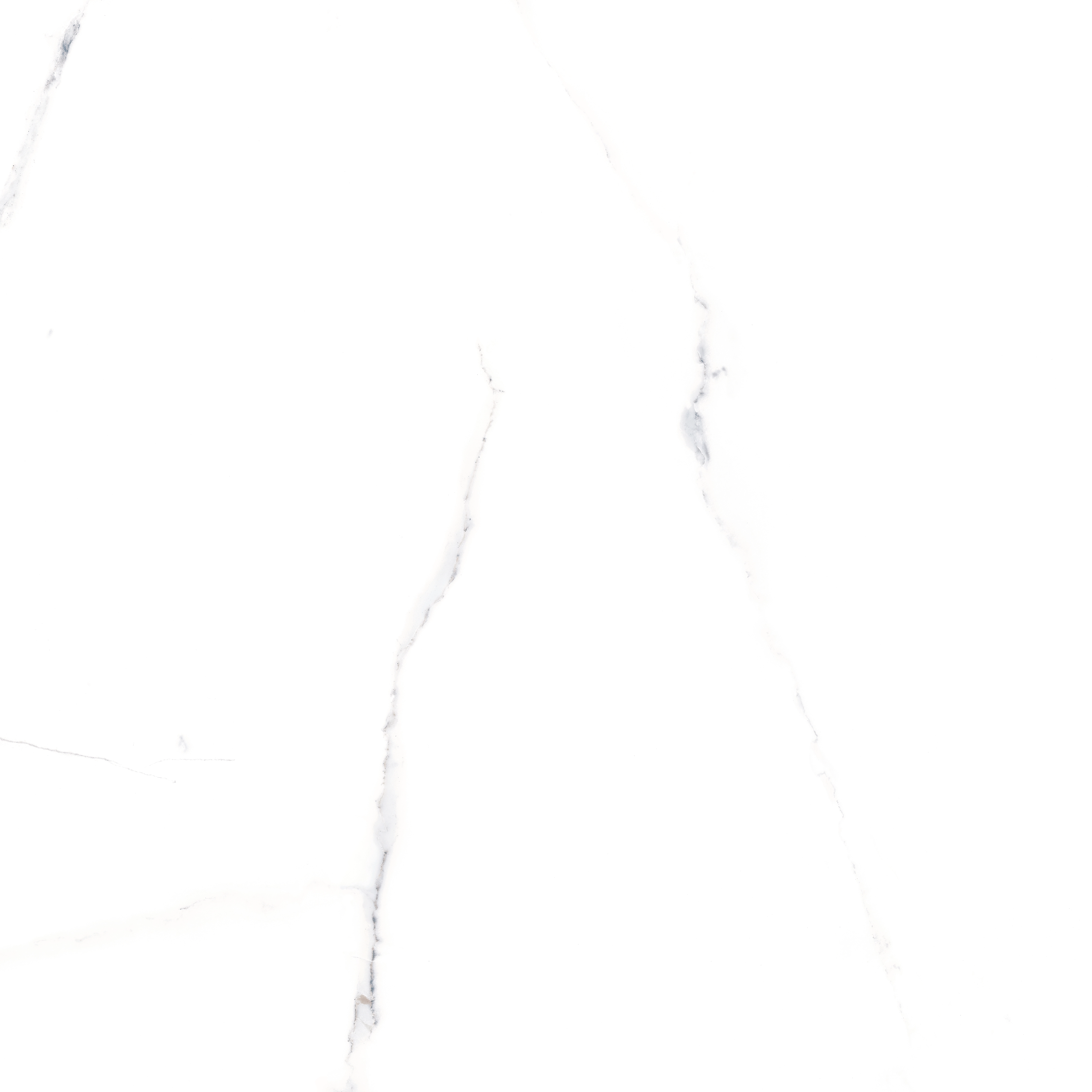 ALSACIA MT 100x100