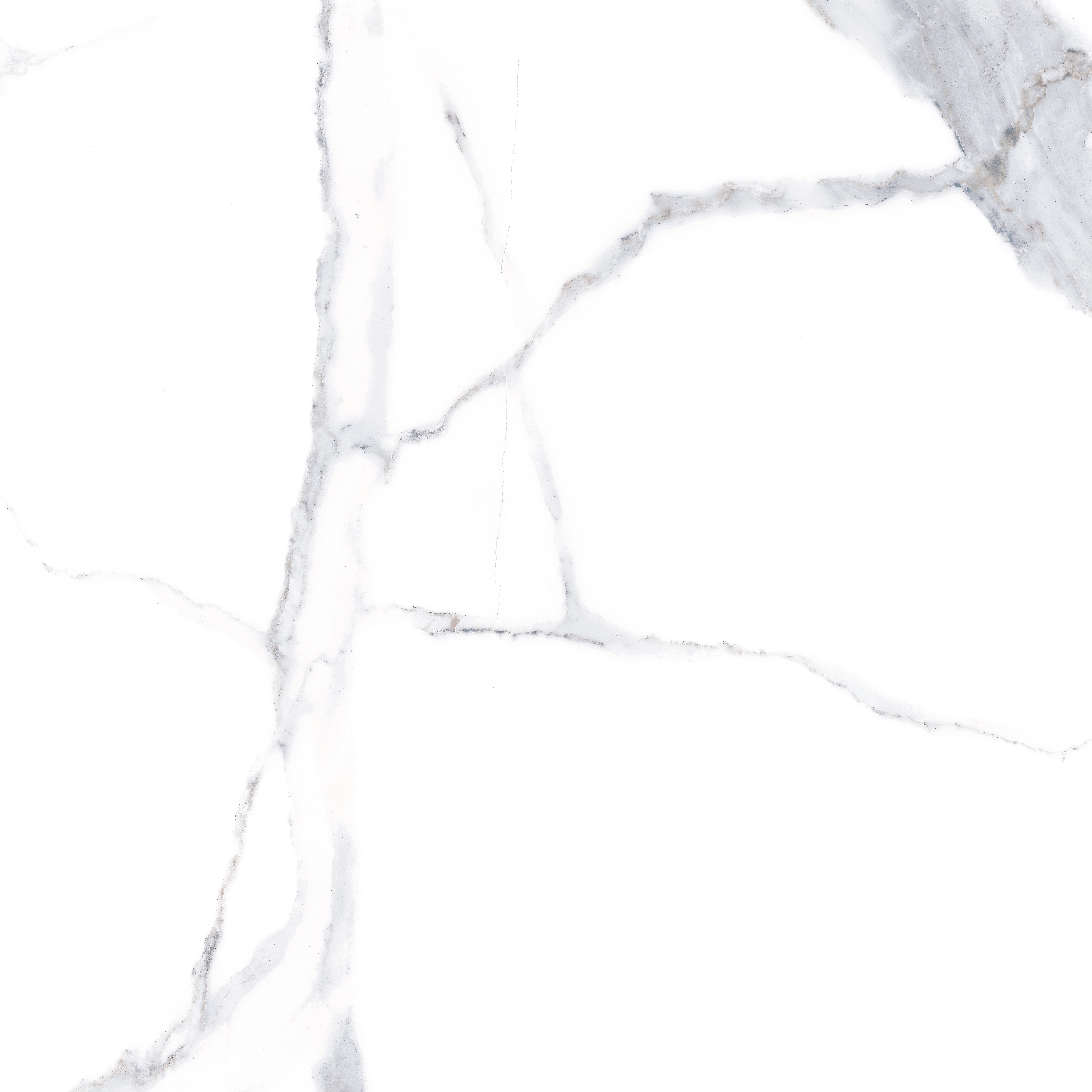 ALSACIA MT 100x100 — 3
