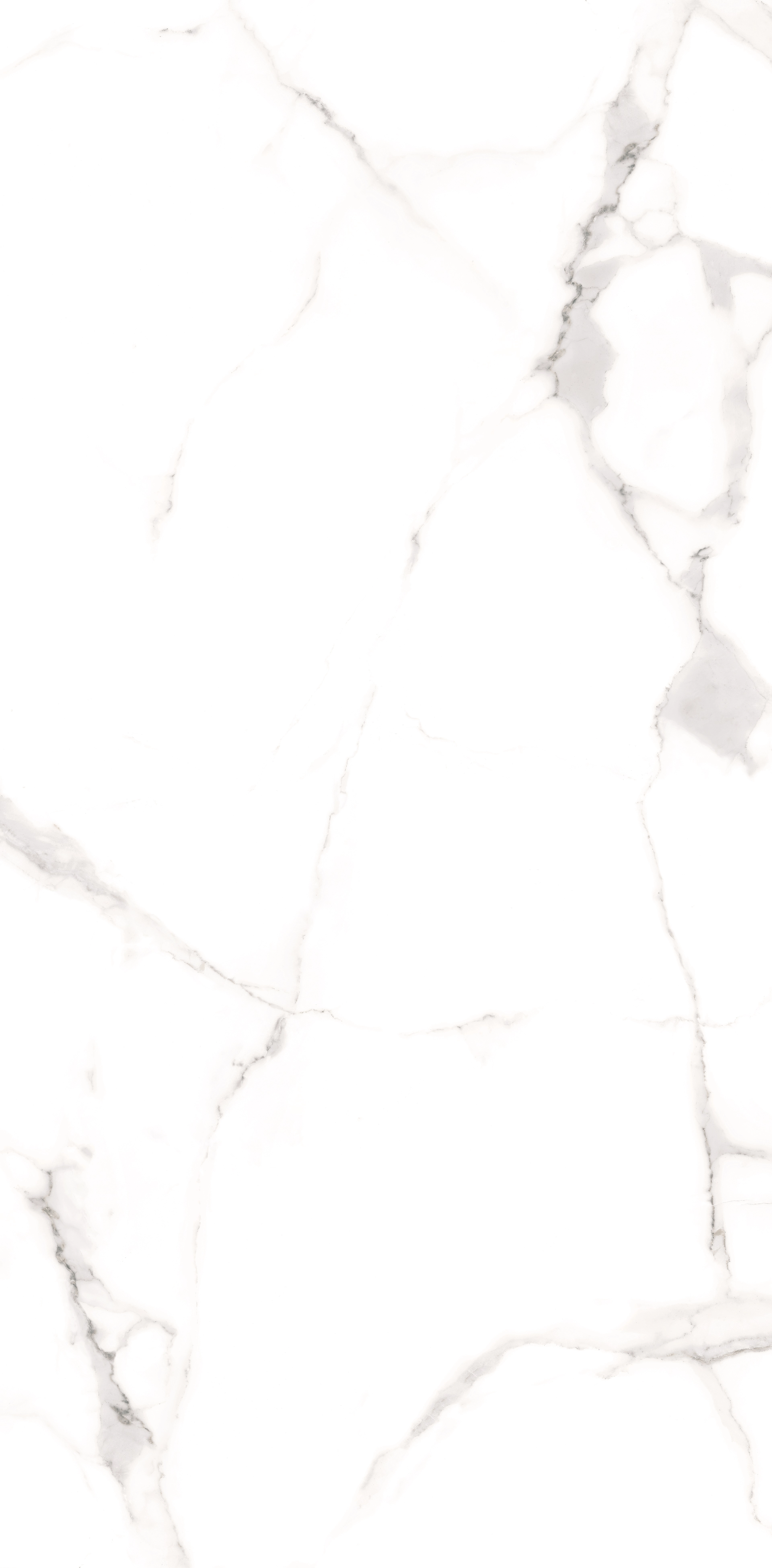 ALSACIA MT 60x120 — 3