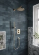 Встраиваемый термостатический смеситель для душа 2 режима Villeroy&Boch Brushed Nickel