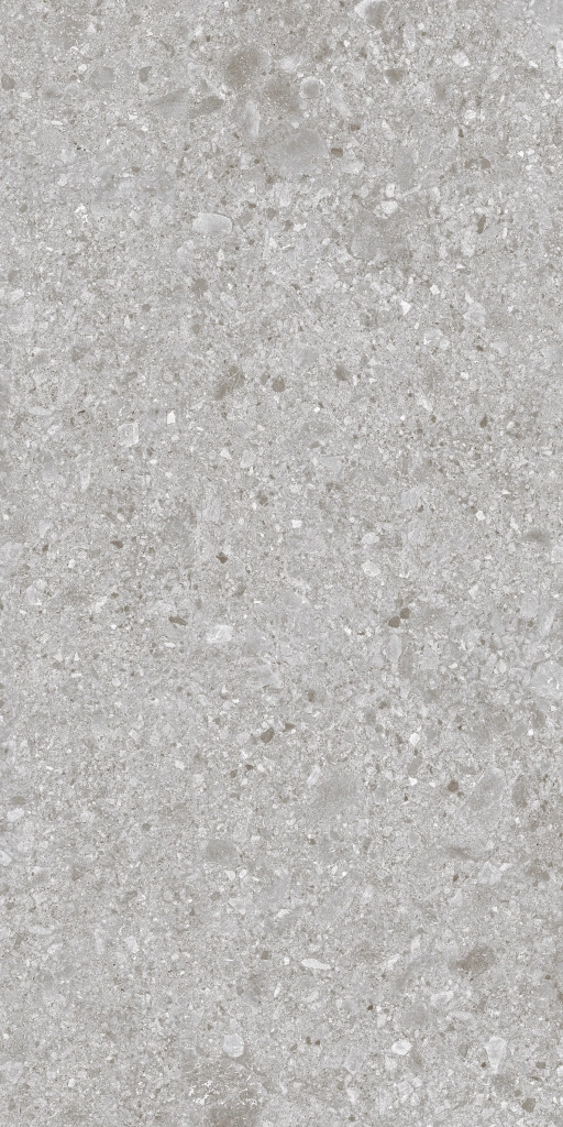 BERGAMO GRIS MAT 60x120