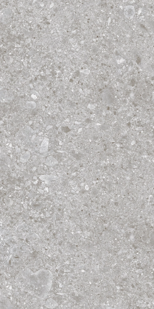 BERGAMO GRIS MAT 60x120