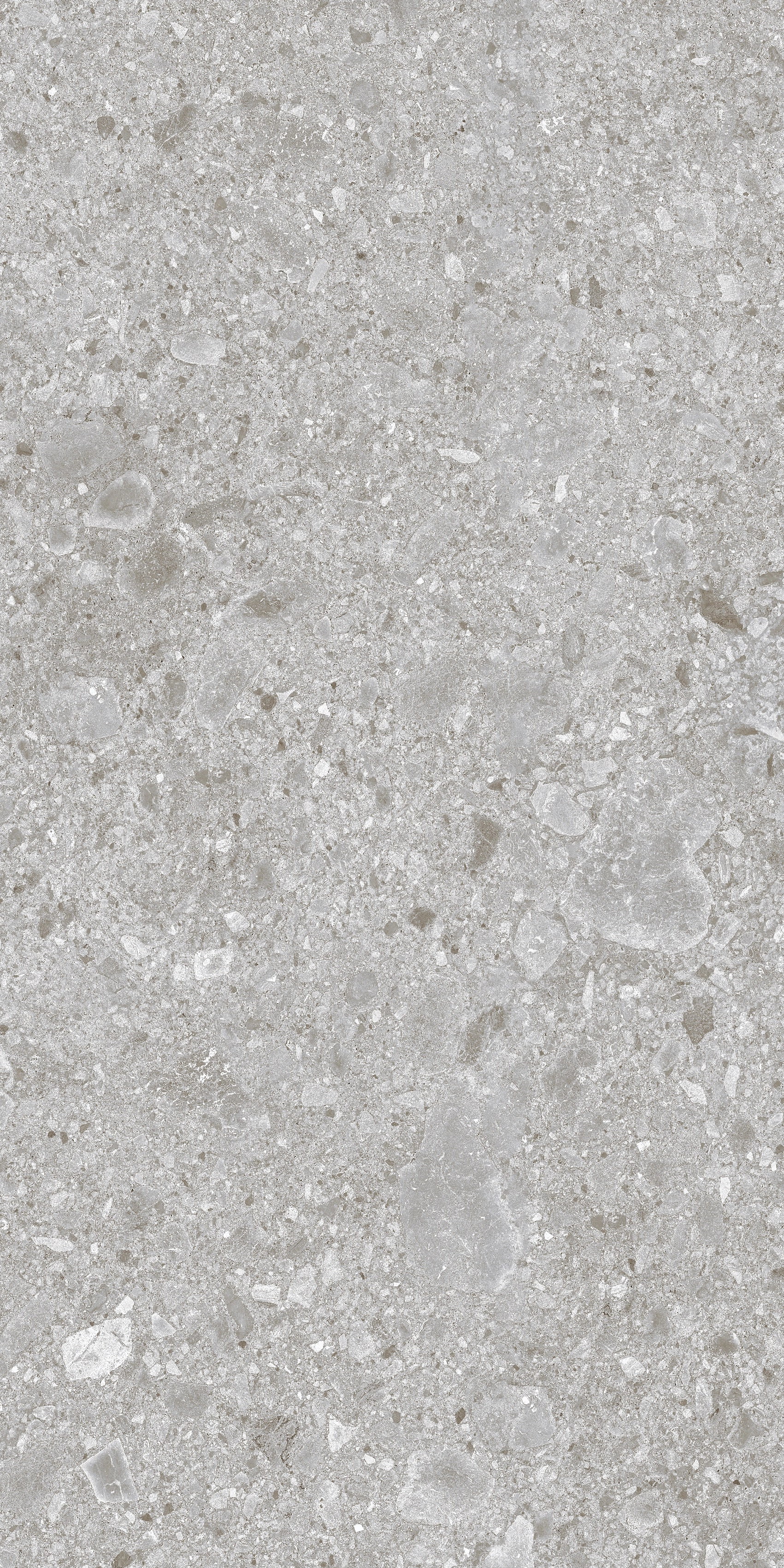 BERGAMO GRIS MAT 60x120 — 6