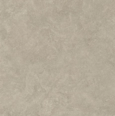 Boost Icor Oyster MT 120x120