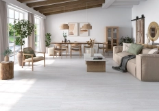 BORGO LIGHT GREY  MAT Rect. 60x120