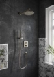Braț de duș de perete Villoroy&Boch Brushed Nickel 40.8 cm