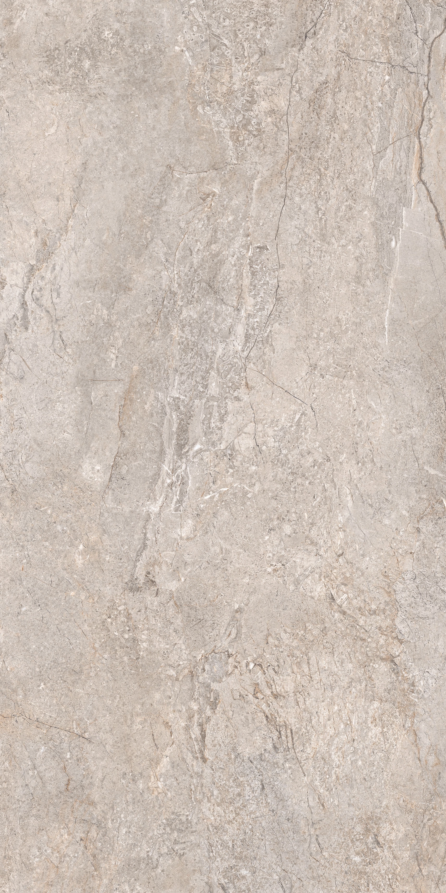 BRECCIA GREIGE MAT 60x120 — 4