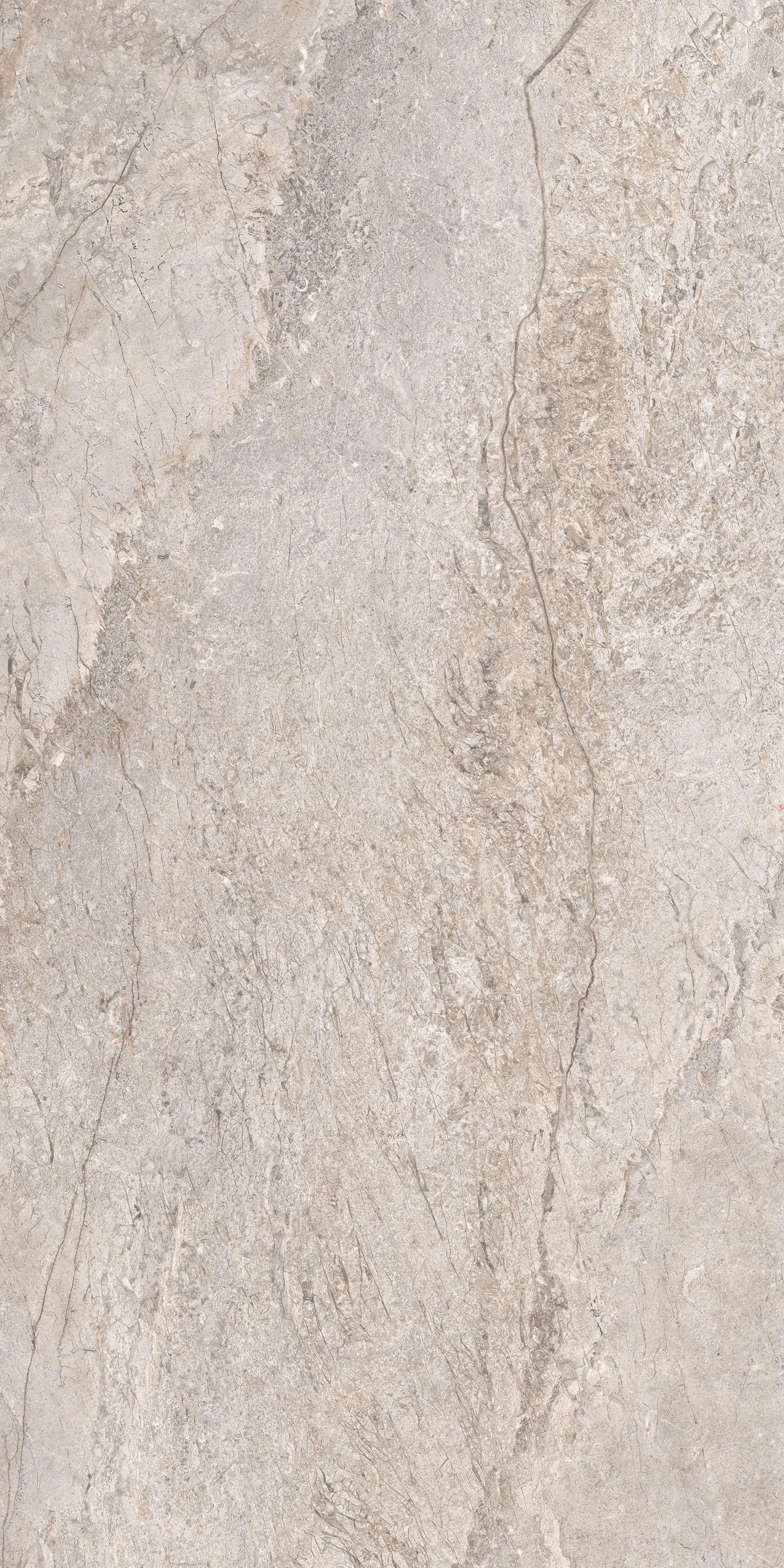 BRECCIA GREIGE MAT 60x120 — 5