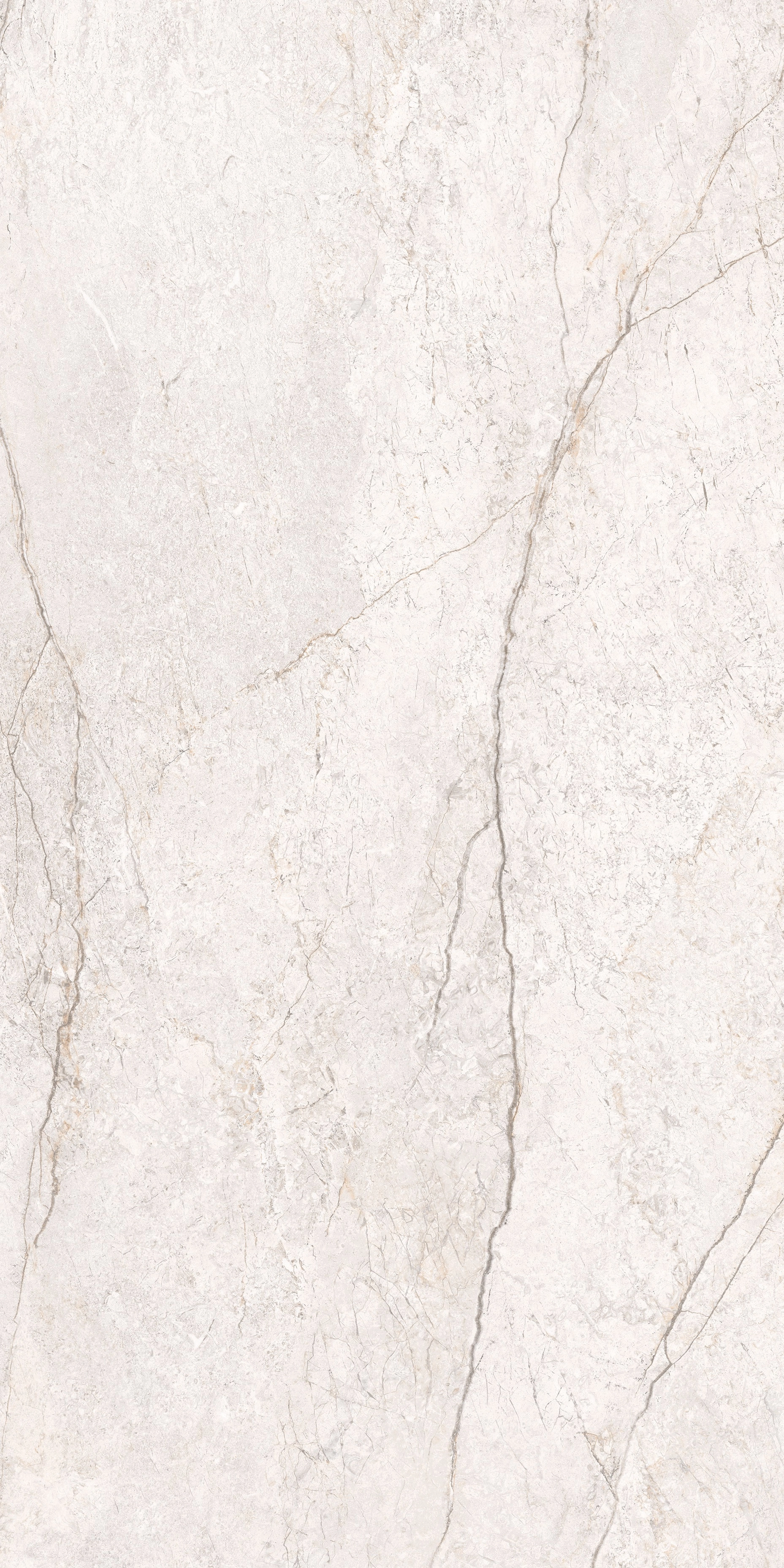 BRECCIA WHITE MAT 60x120 — 3