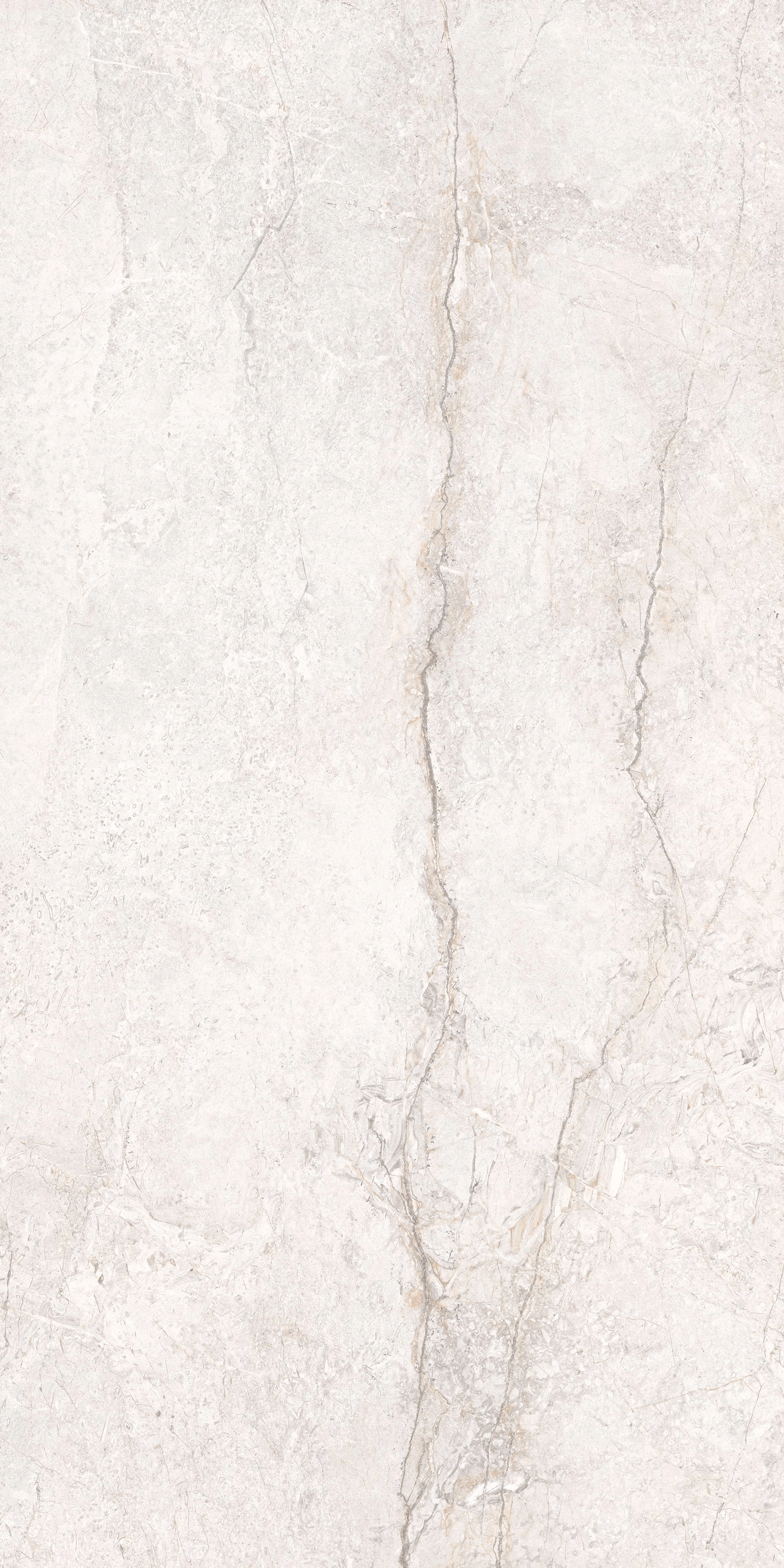 BRECCIA WHITE MAT 60x120 — 4