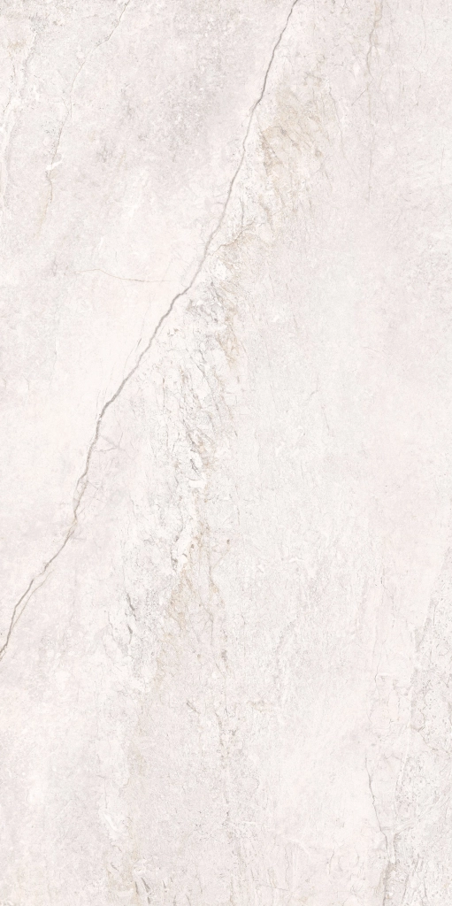BRECCIA WHITE MAT 60x120