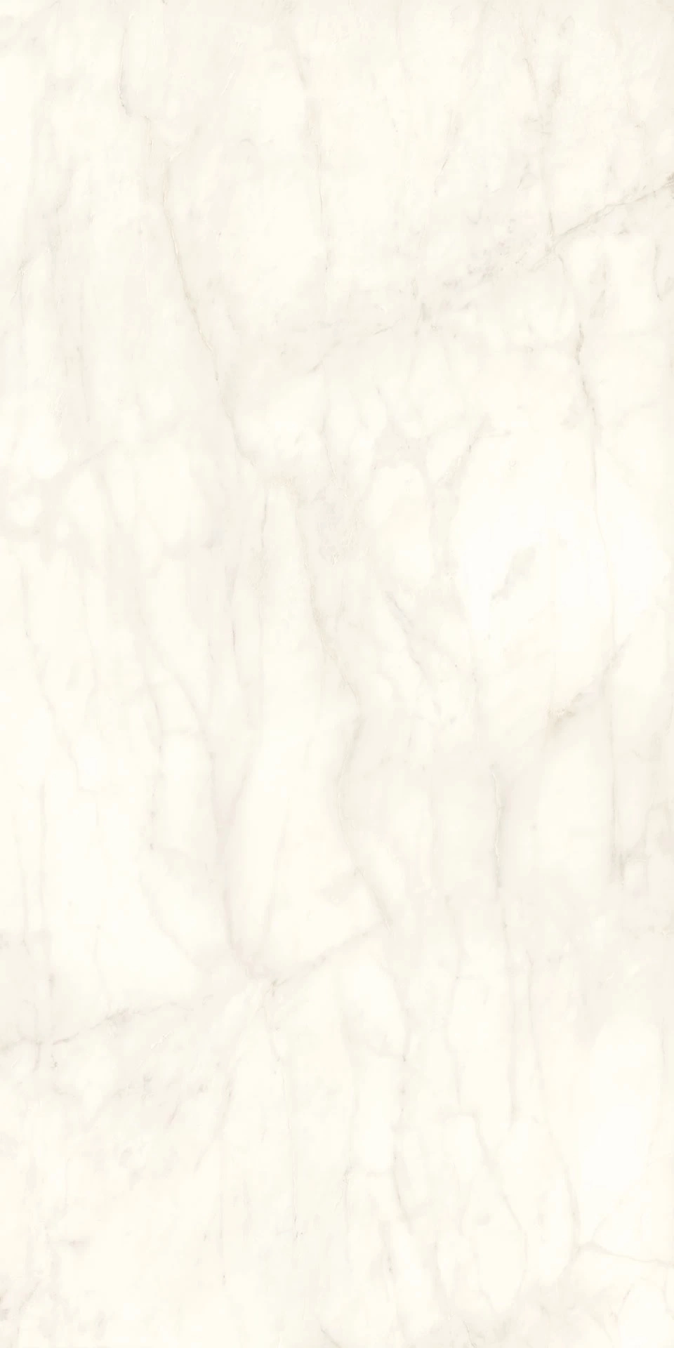 Calacatta Delicato Silk 12 mm 162x324