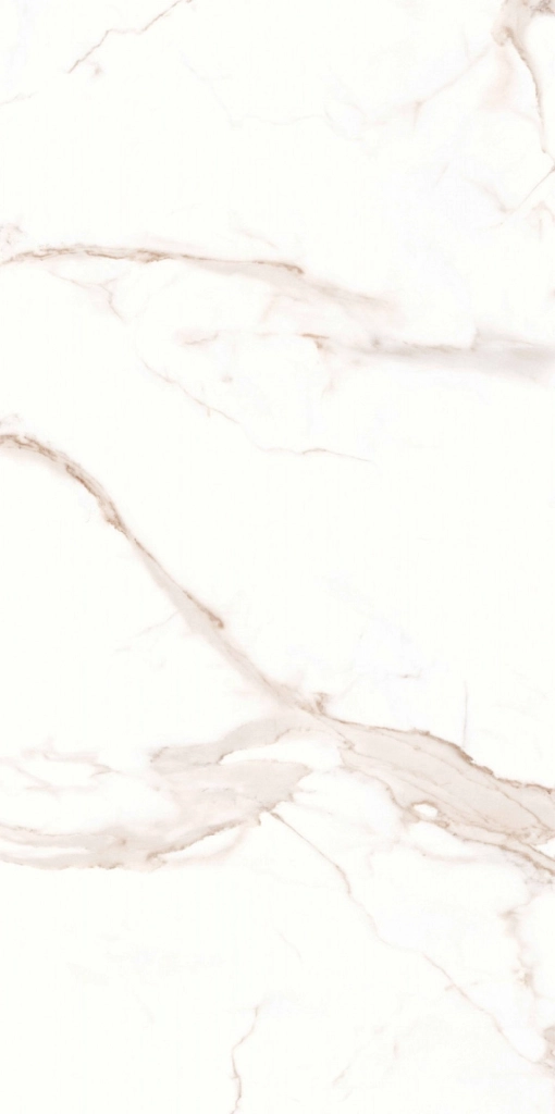 CALACATTA DOLCE GOLD 60x120
