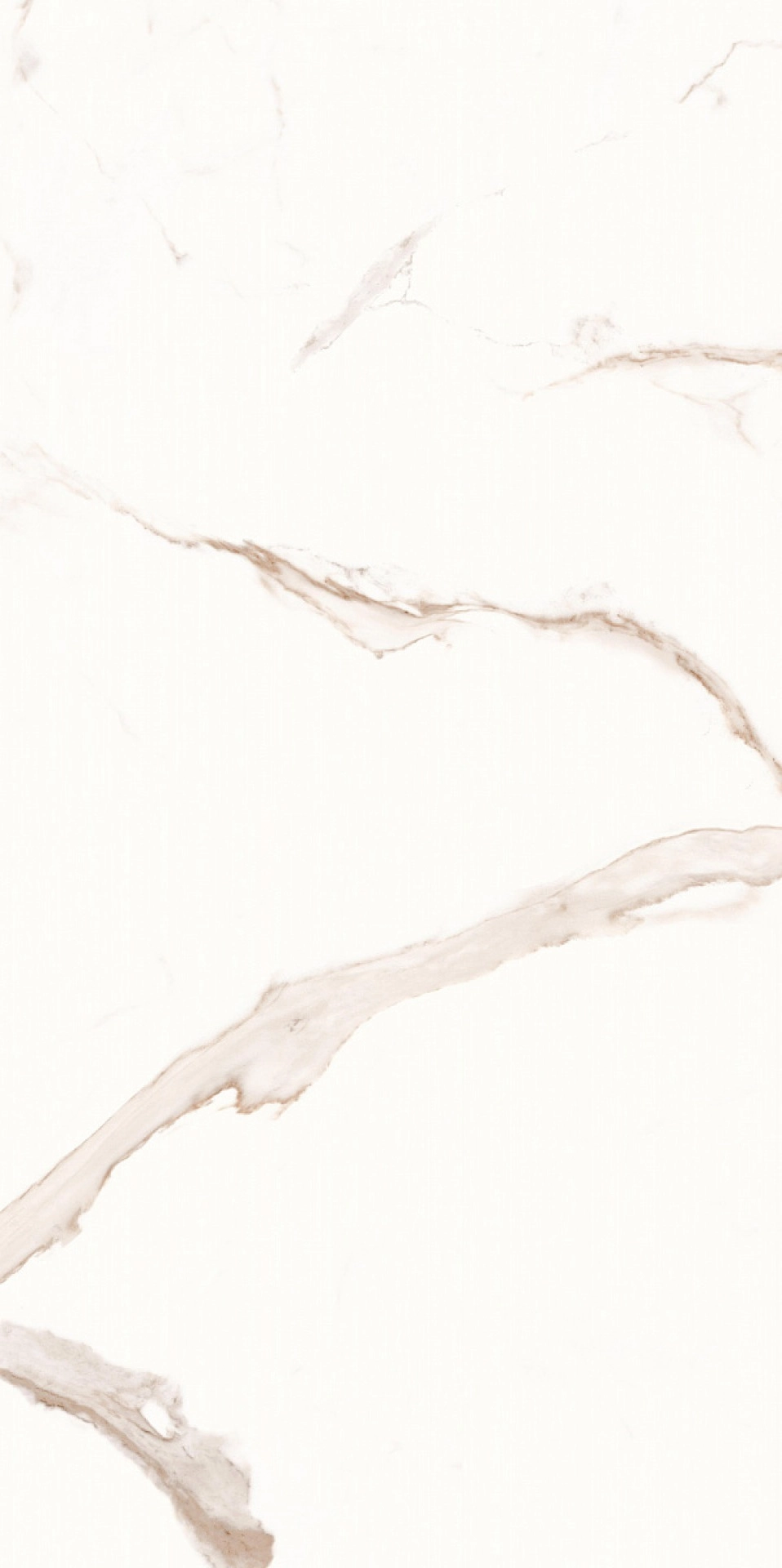 CALACATTA DOLCE GOLD 60x120