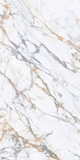 CALACATTA MACCHIA VECCHIA POL 60x120