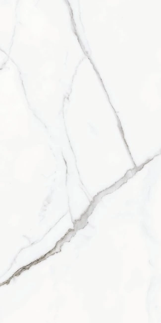 CALACATTA UNIQUE MAT 60x120 — 4